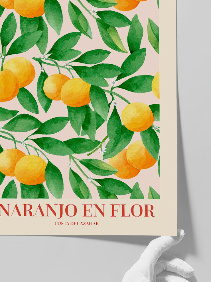Naranjo En Flor - Art Print  Poster