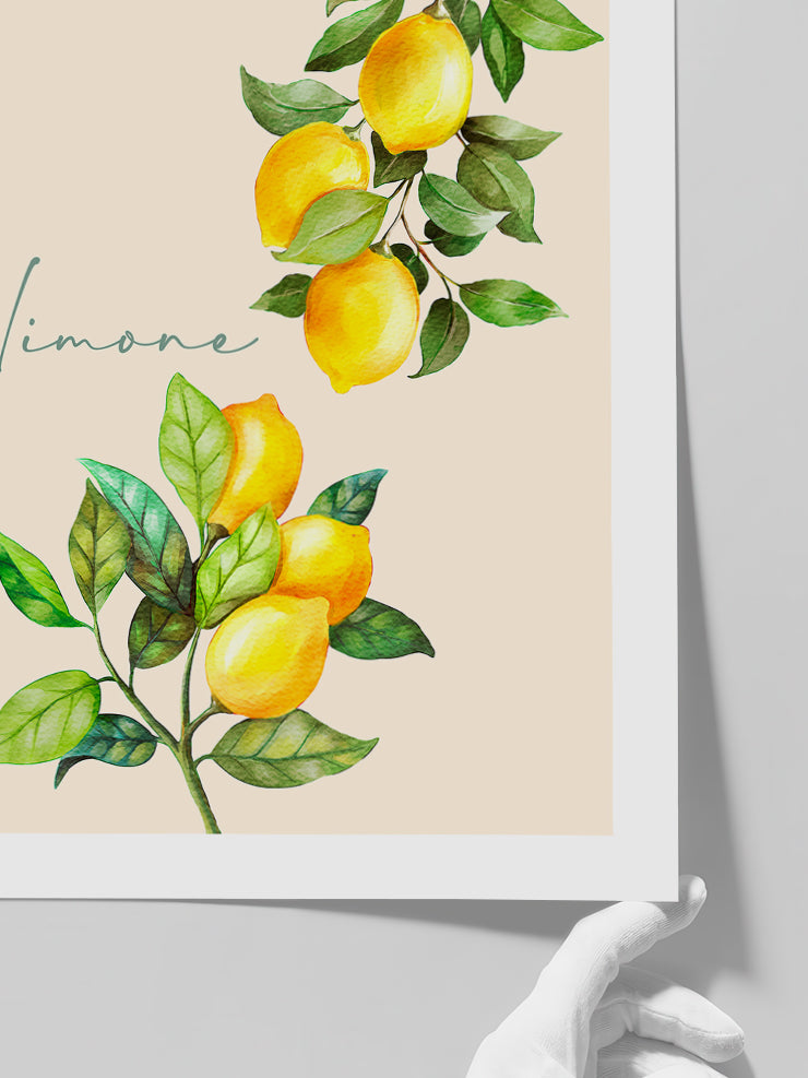 Limone - Art Print  Poster