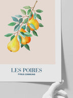 Les Poires - Art Print