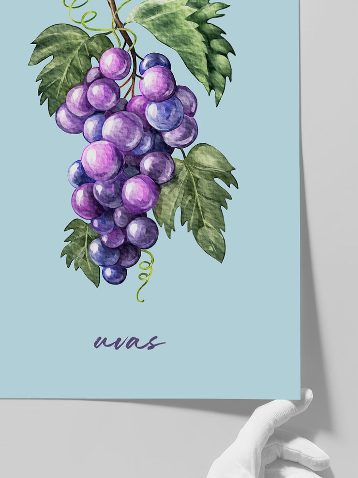 Uvas - Art Print  Poster