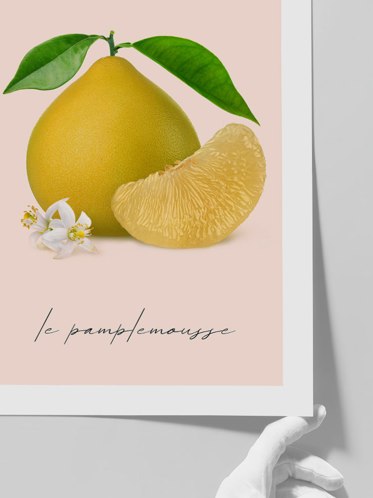 Le Pamplemousse - Art Print  Poster