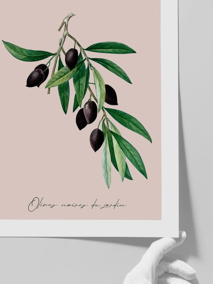 Fruits D’Eté - Art Print  Poster