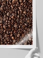 Kahve Çekirdekleri - Art Print