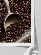 Kahve Çekirdekleri - Art Print