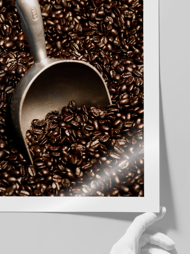 Kahve Çekirdekleri - Art Print