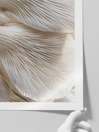 Makro Mantar - Art Print