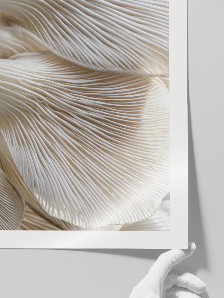 Makro Mantar - Art Print