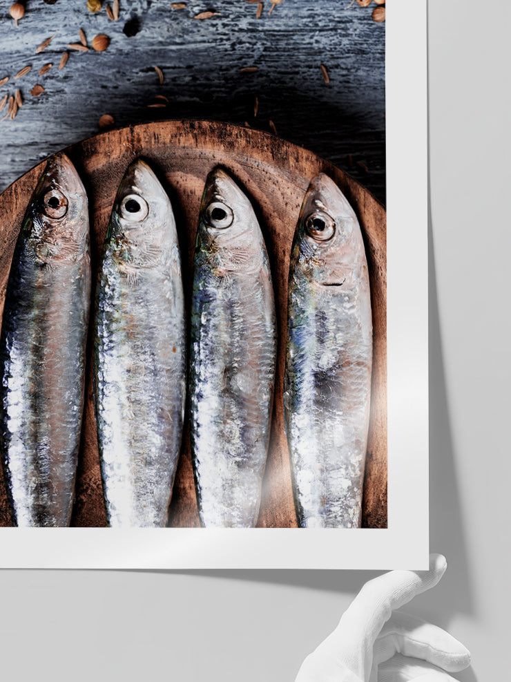Balık - Art Print  Poster