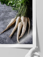 Beyaz Havuç - Art Print