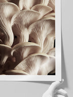 Makro Mantar N2 - Art Print