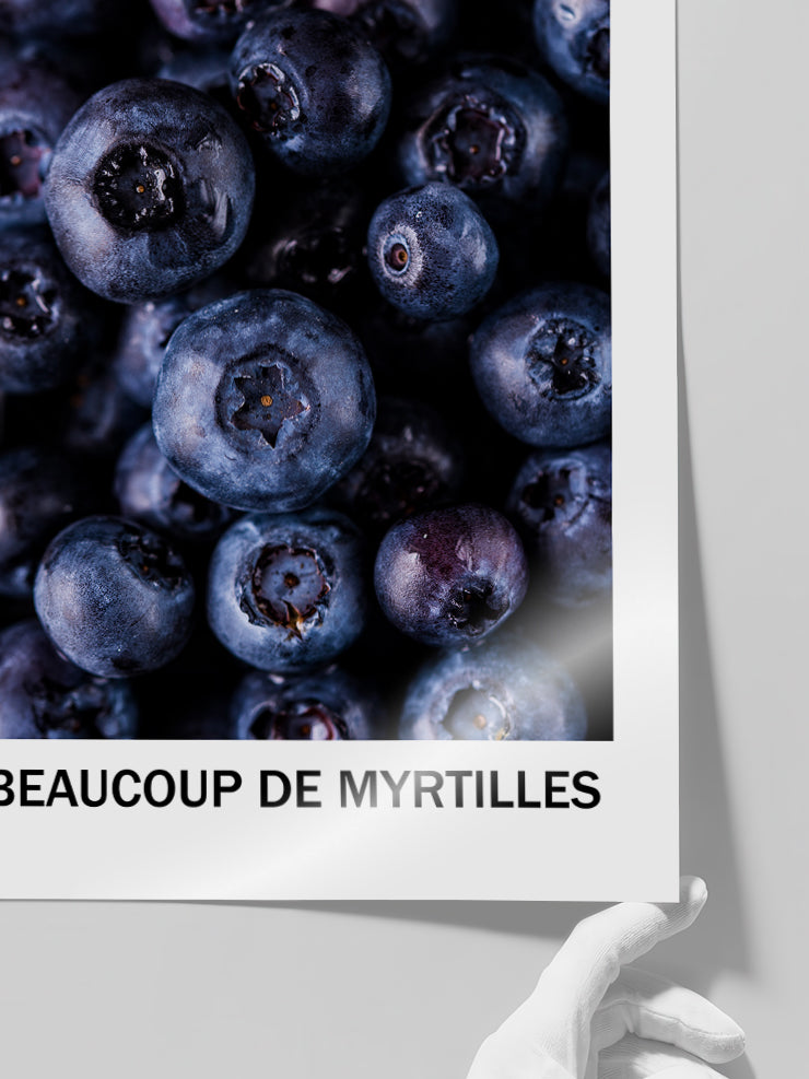 Blueberries - Art Print  Poster