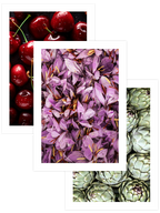 Colorful Abundance - Poster Seti Trio