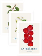 Freshness In The Air - Poster Seti Trio