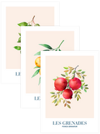 Multivitamin - Poster Seti Trio