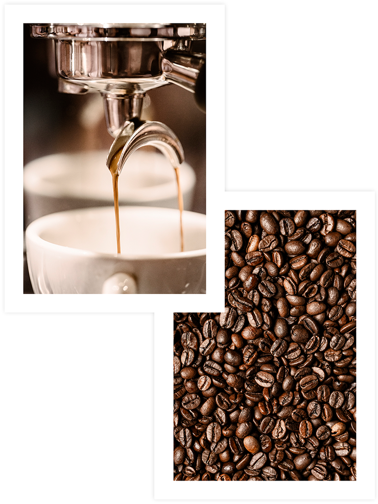 Kahve Rengi - Poster Seti Duo Ürün ana görseli