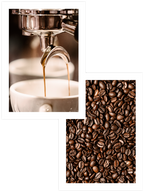 Kahve Rengi - Poster Seti Duo