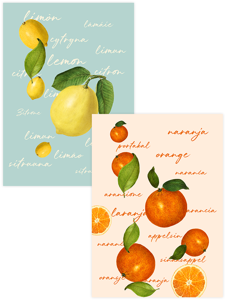 Citrus Power - Poster Seti Duo Mutfak Poster