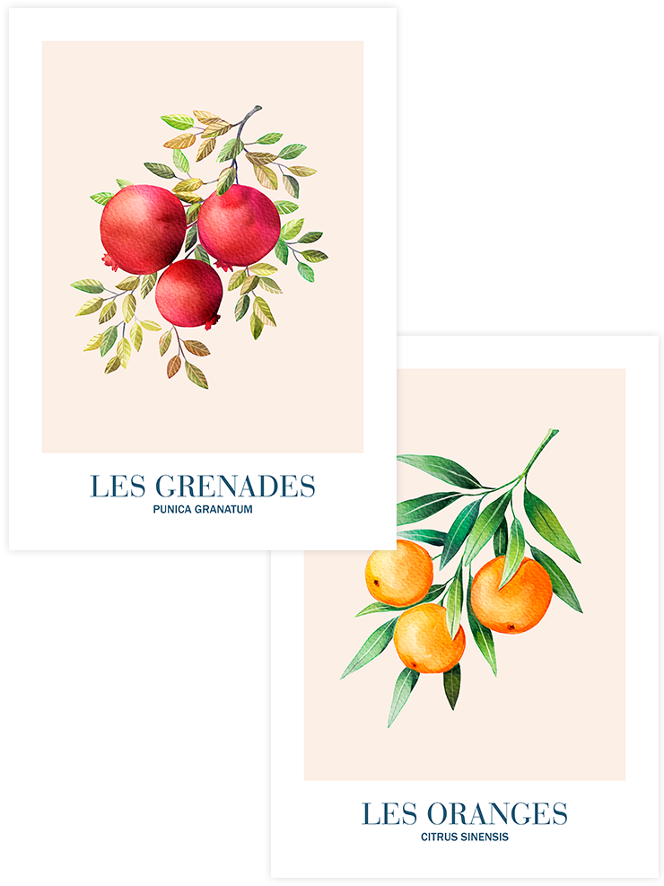 Multivitamin - Poster Seti Duo Ürün ana görseli