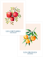 Multivitamin - Poster Seti Duo