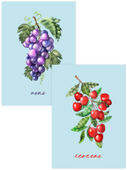 Fruity Colors - Poster Seti Duo