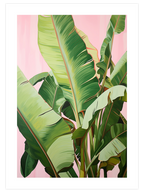 Muz Ağacı - Poster Seti Duo