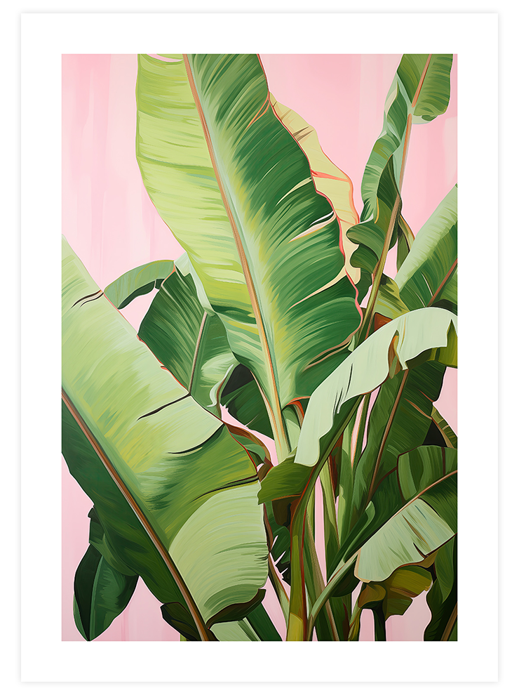 Muz Ağacı - Poster Seti Duo