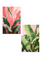 Muz Ağacı - Poster Seti Duo