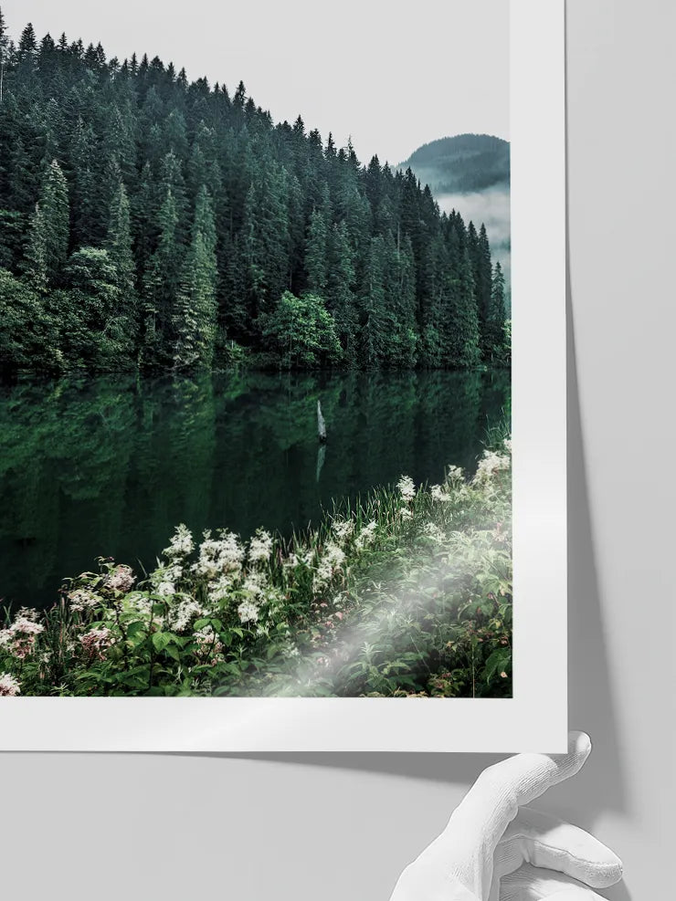 Sisle çevrili çam ormanı ve göl manzarasını bir araya getiren iki parçalı doğa fotoğraf poster seti