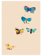 Odilon Redon Five Butterflies - Art Print