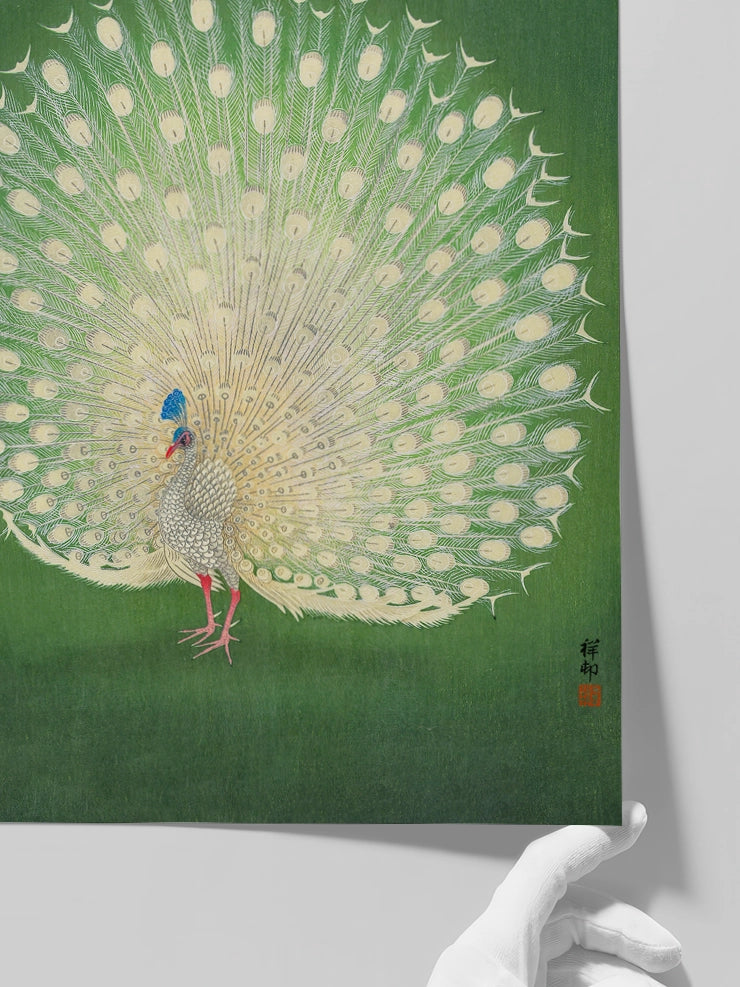 Ohara Koson Peacock - Art Print  Poster