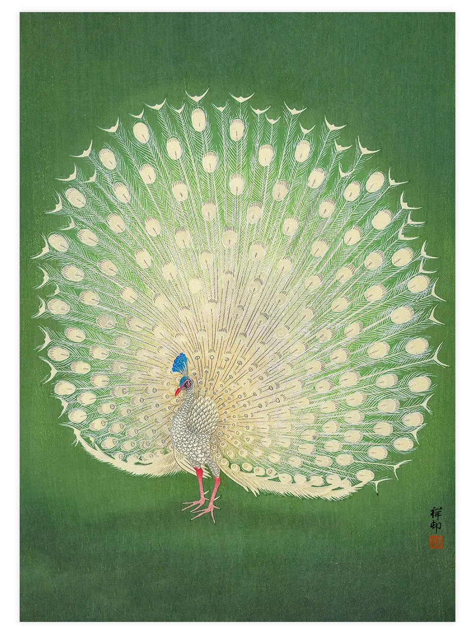 Ohara Koson Peacock - Art Print Ürün ana görseli