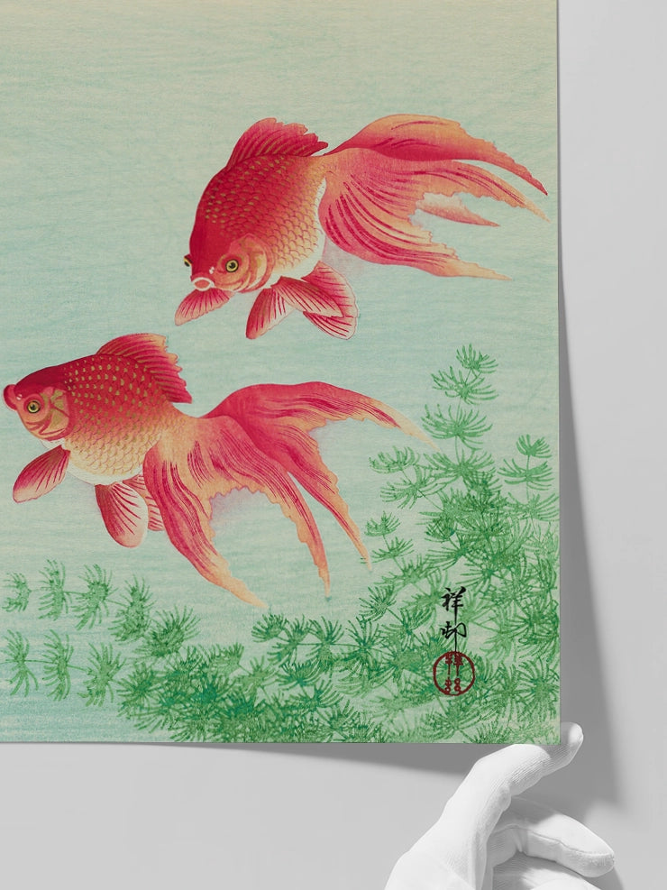 Ohara Koson, Two Goldfish - Art Print