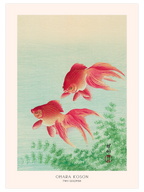 Ohara Koson, Two Goldfish - Art Print