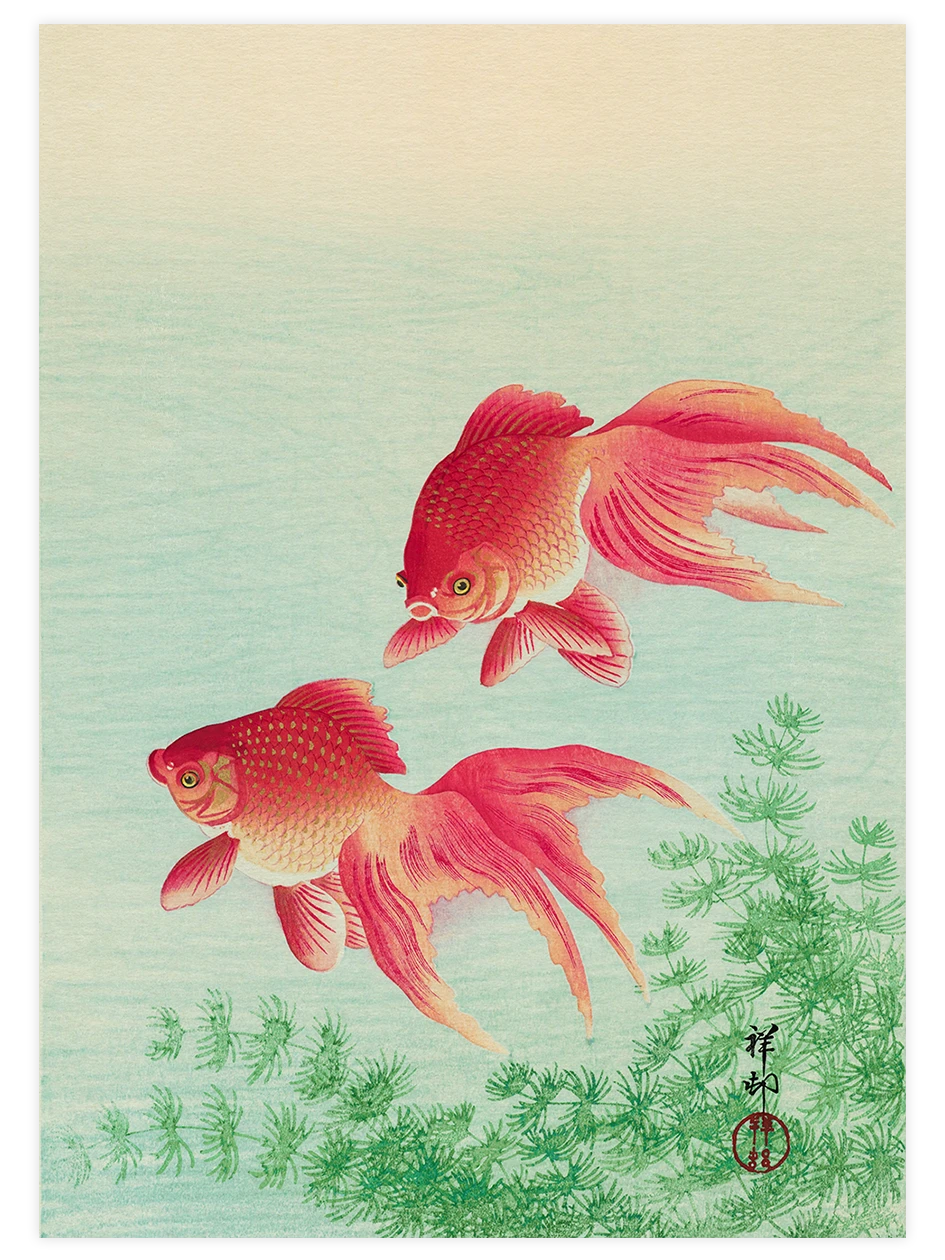 Ohara Koson, Two Goldfish - Art Print Ünlü Ressamlar Poster