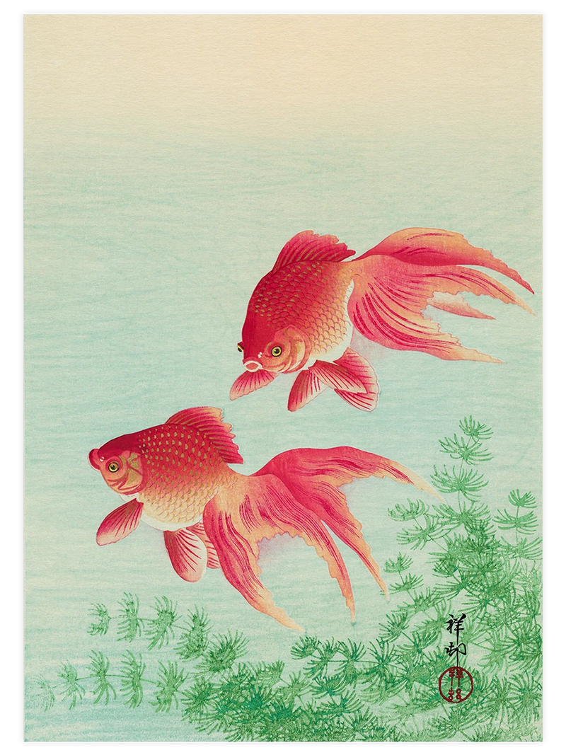 Ohara Koson, Two Goldfish - Art Print Ünlü Ressamlar Poster