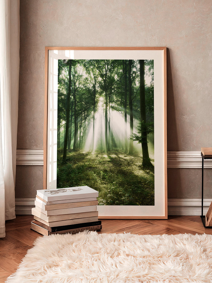 Bosque de Luz - Art Print  Poster