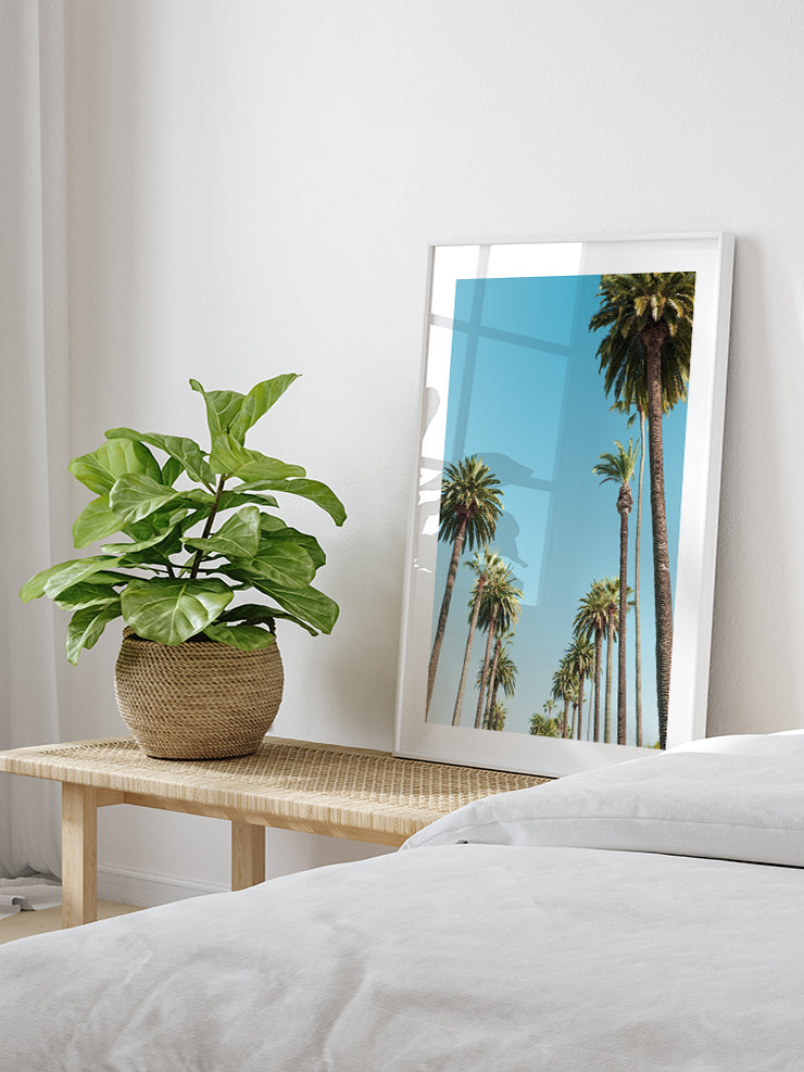 Palms - Art Print  Poster