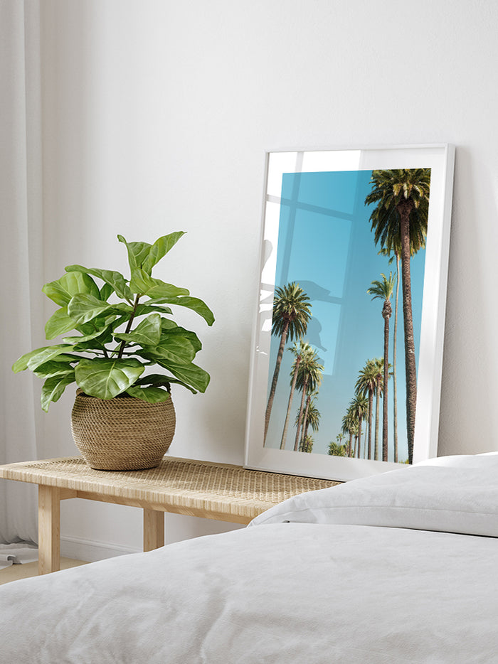 Palms - Art Print  Poster