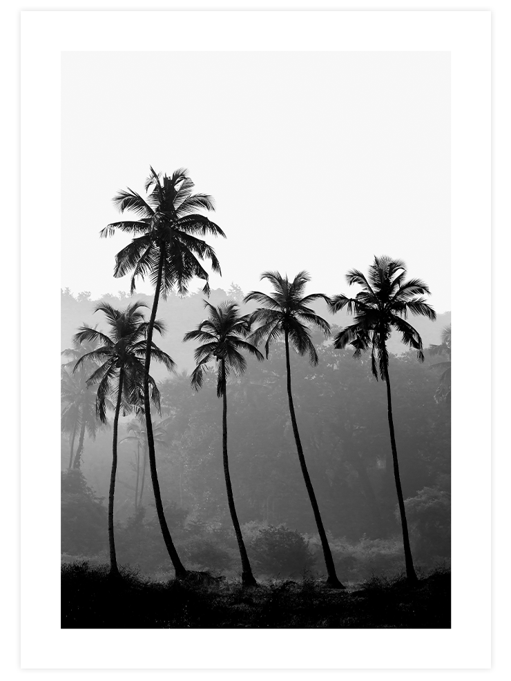 Atemporal Beauty - Poster Seti Trio  Poster