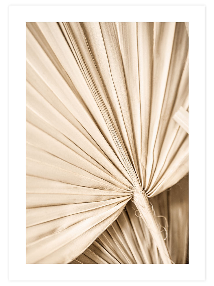 Beige Harmonie - Poster Seti Trio