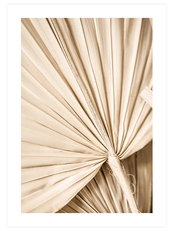 Beige Harmonie - Poster Seti Trio  Poster