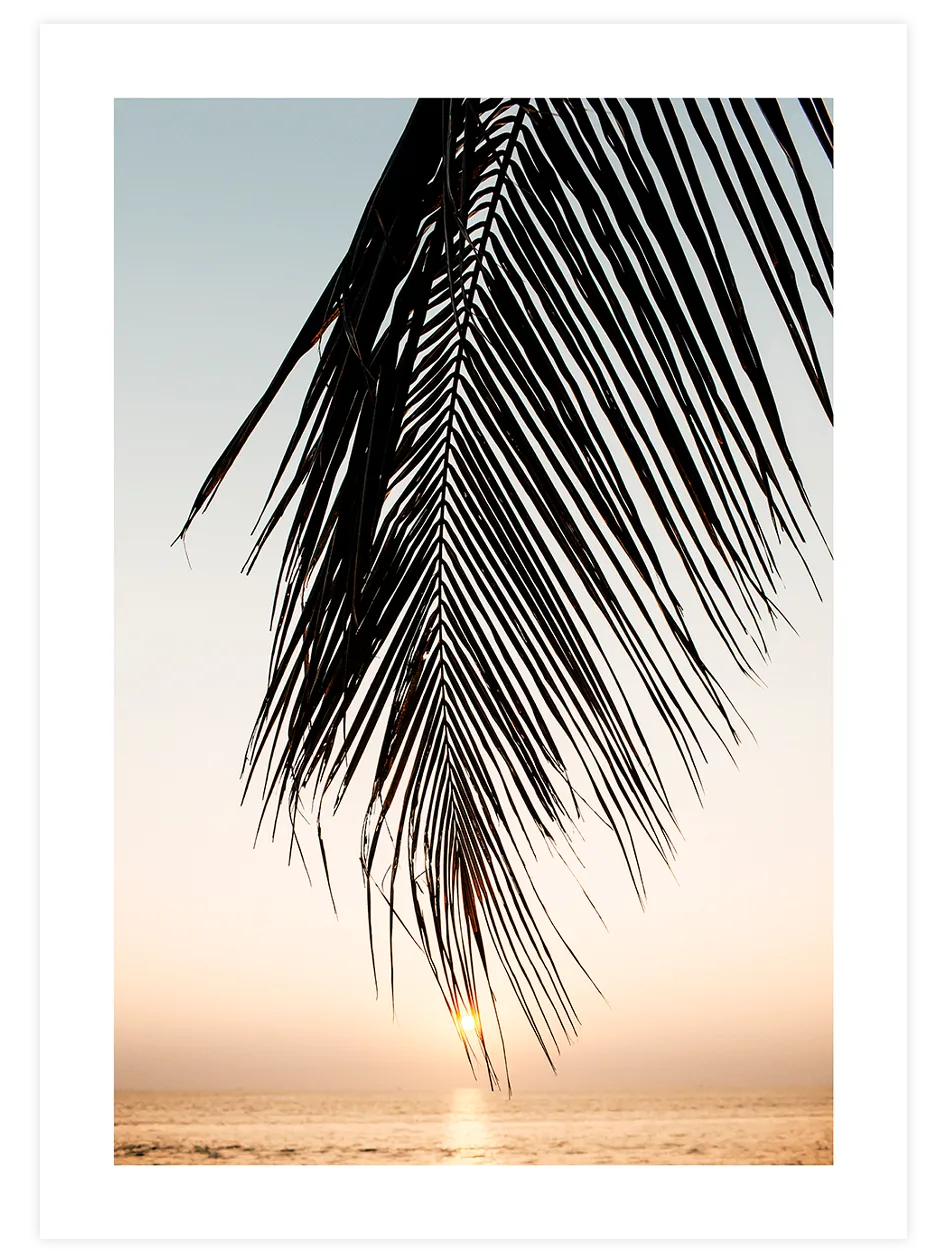 Soleil sous les Palmes – Art Print