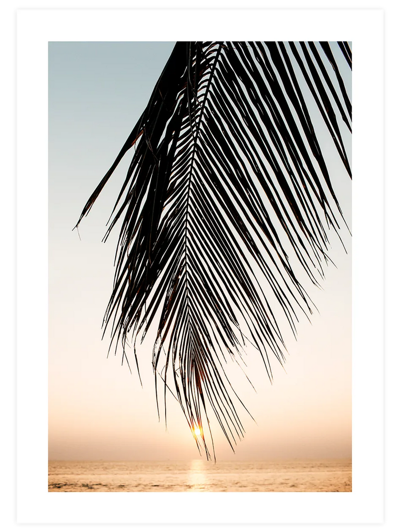 Soleil sous les Palmes – Art Print