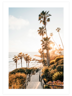 Palmiye Manzarası - Art Print