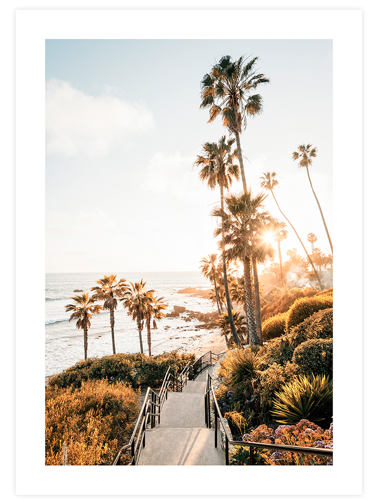 Palmiye Manzarası - Art Print