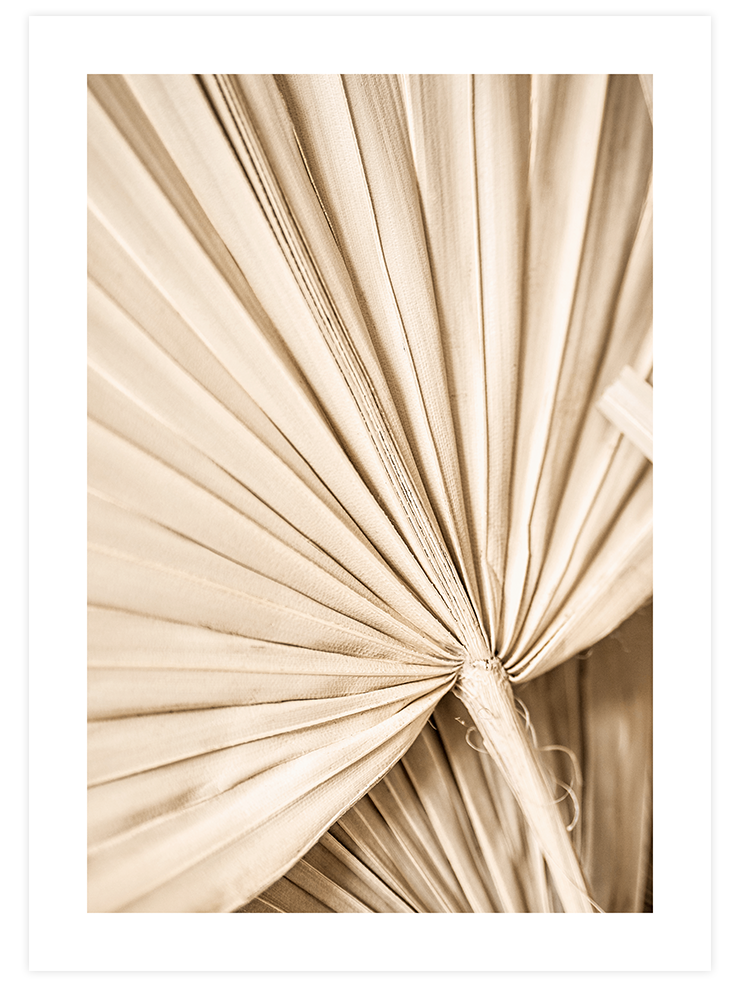 Beige Style Poster seti