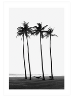 Black & White Elegance Poster Seti