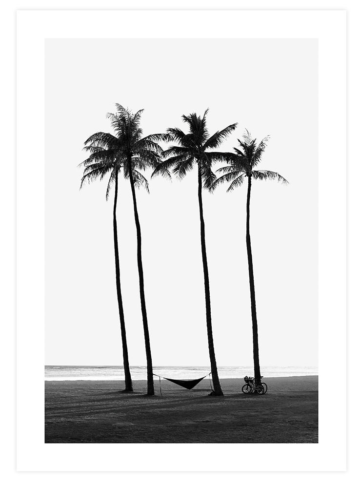 Black & White Elegance Poster Seti  Poster