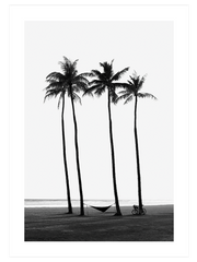 Black & White Elegance Poster Seti