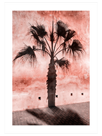 Color Power Poster Seti